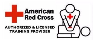krølle sæt ind Fremmedgørelse CPR Training - American Red Cross